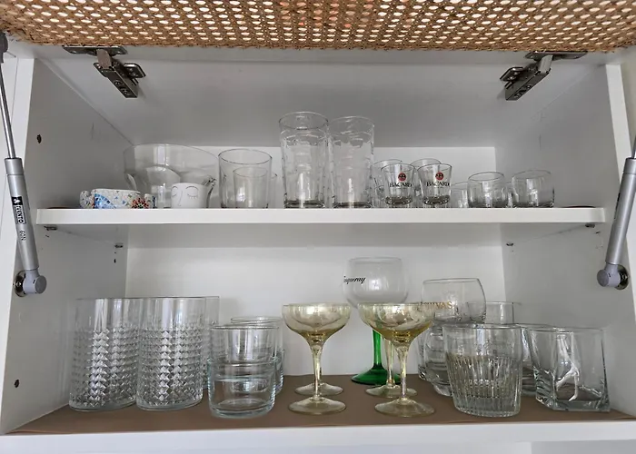 Urban Nest Near The Center