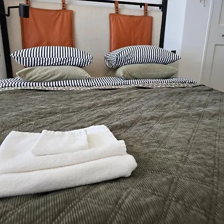 Urban Nest Near The Center Warna